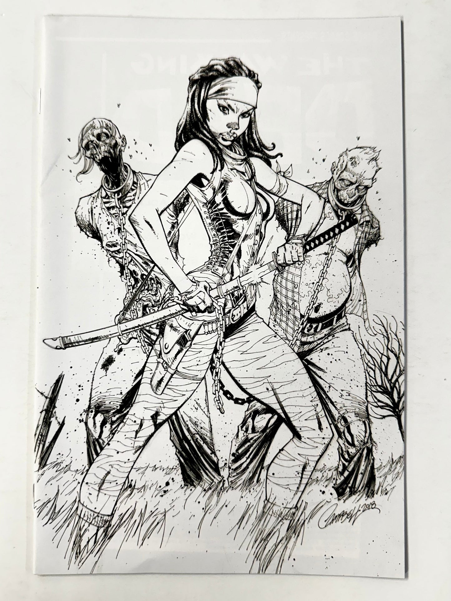 The Walking Dead #19 B&W Virgin Michonne 15th Anniversary Image Comics Campbell D