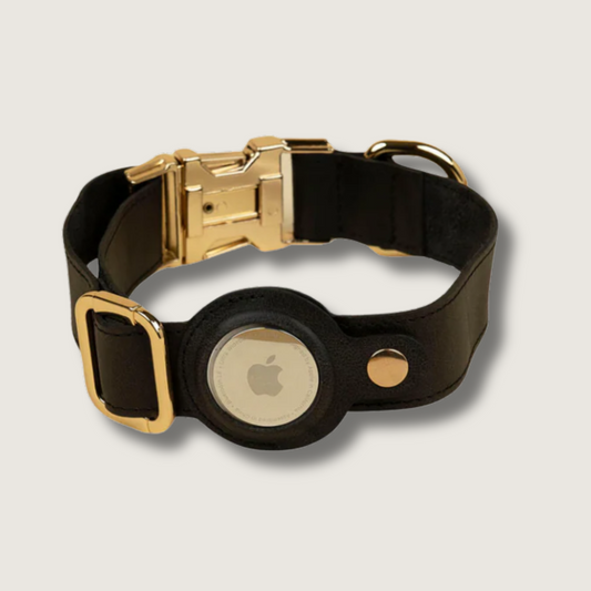 Stylish Leather AirTag Dog Collar - Black - Davie