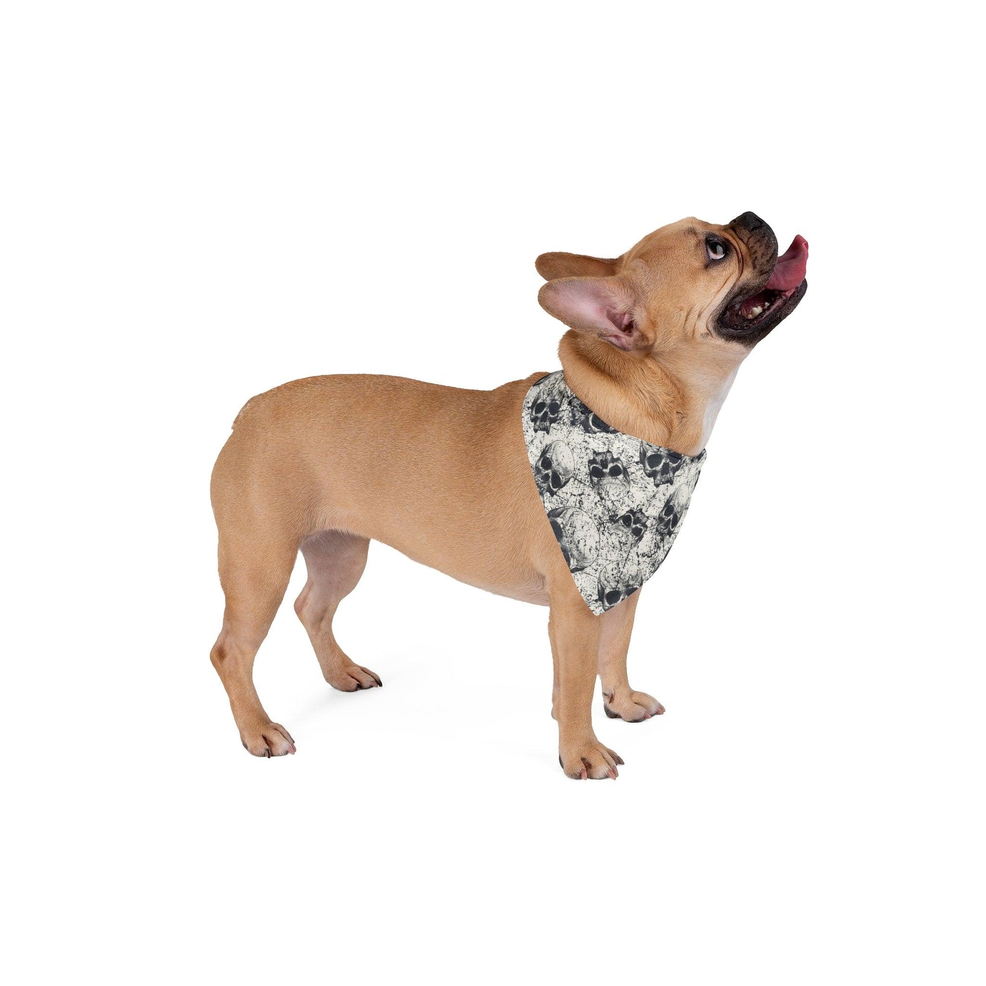 Ancient Skulls Pet Bandana - Premium Pets from Printify - Just $24.20! Shop now at Lizard Vigilante