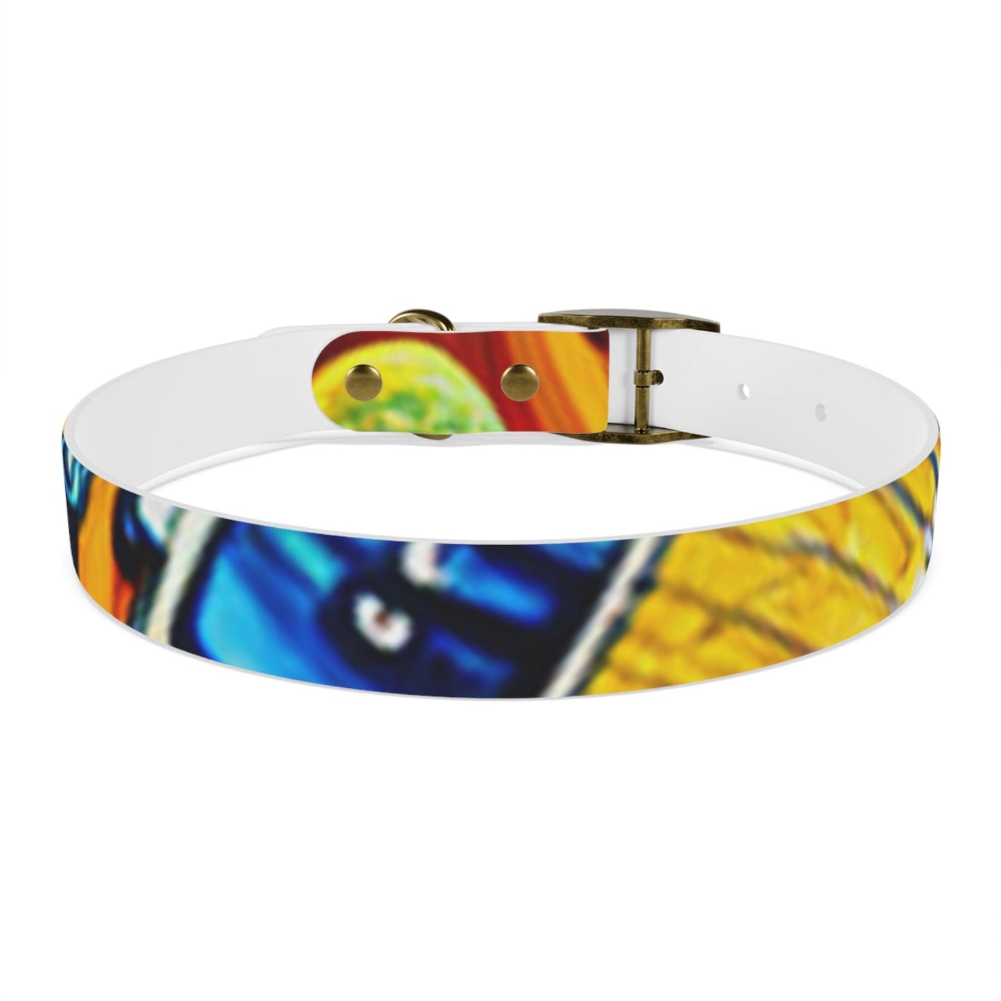 Les Paul Colors Dog Collar - 4 Sizes - Lizard Vigilante