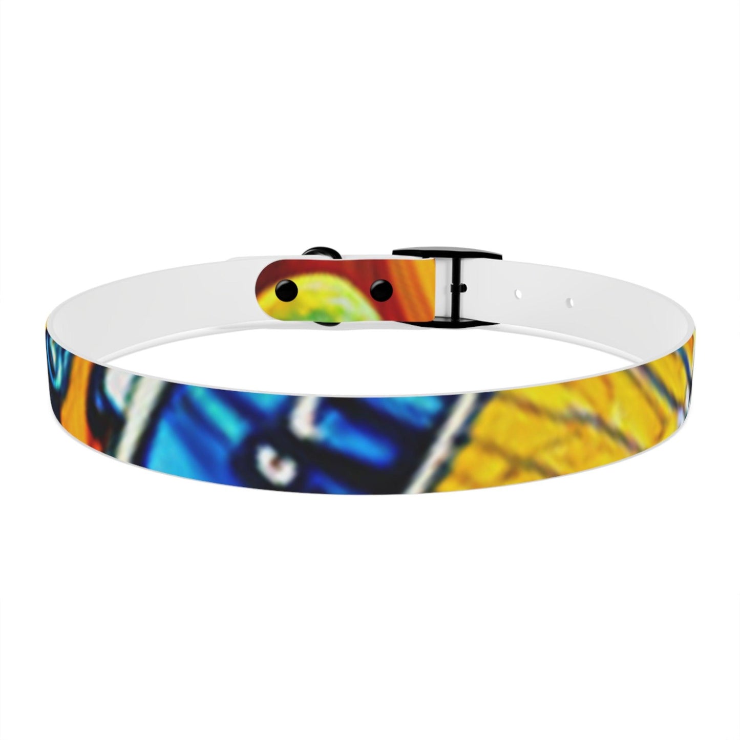 Les Paul Colors Dog Collar - 4 Sizes - Lizard Vigilante