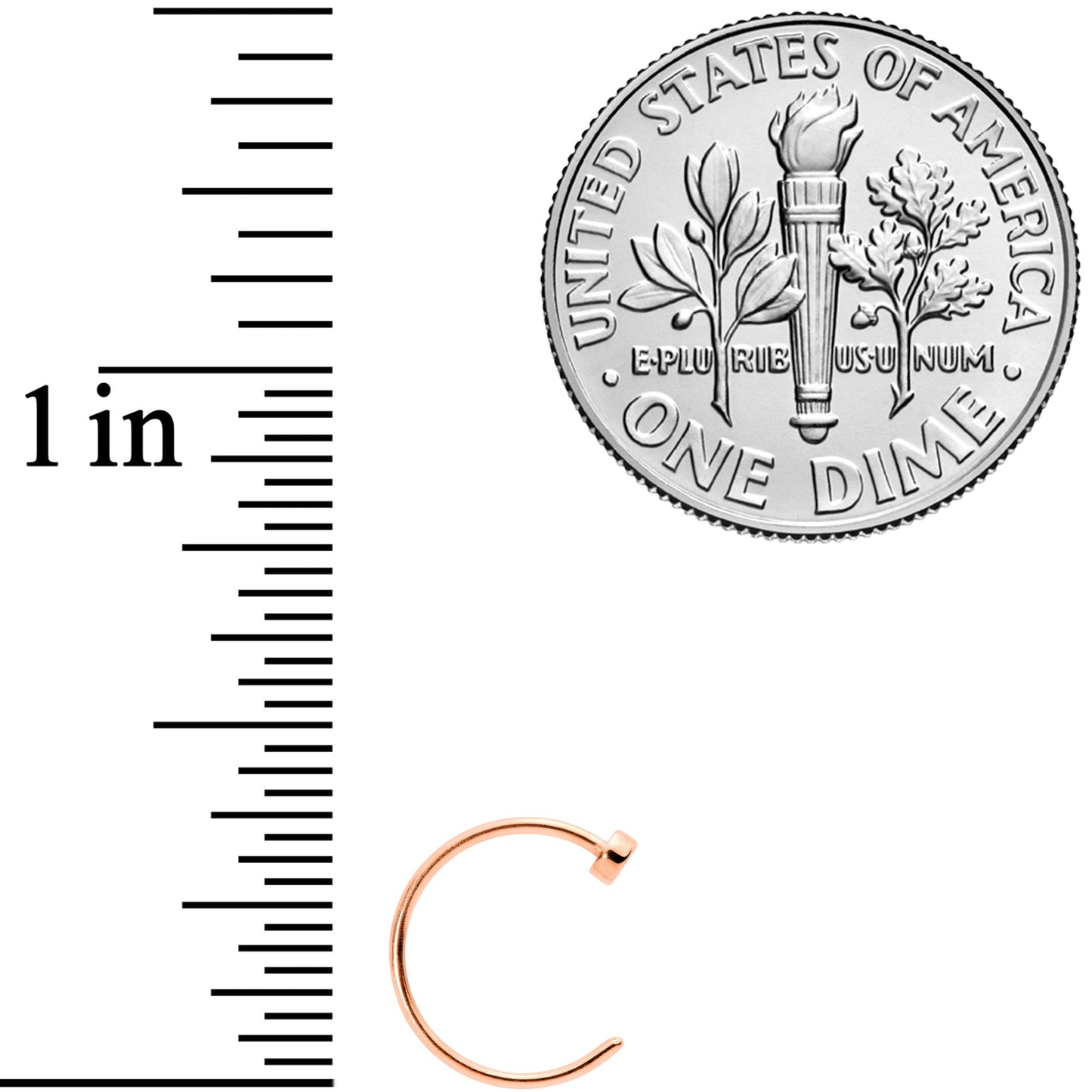 22G 5/16 Rose Gold Tone Disc Nose Hoop