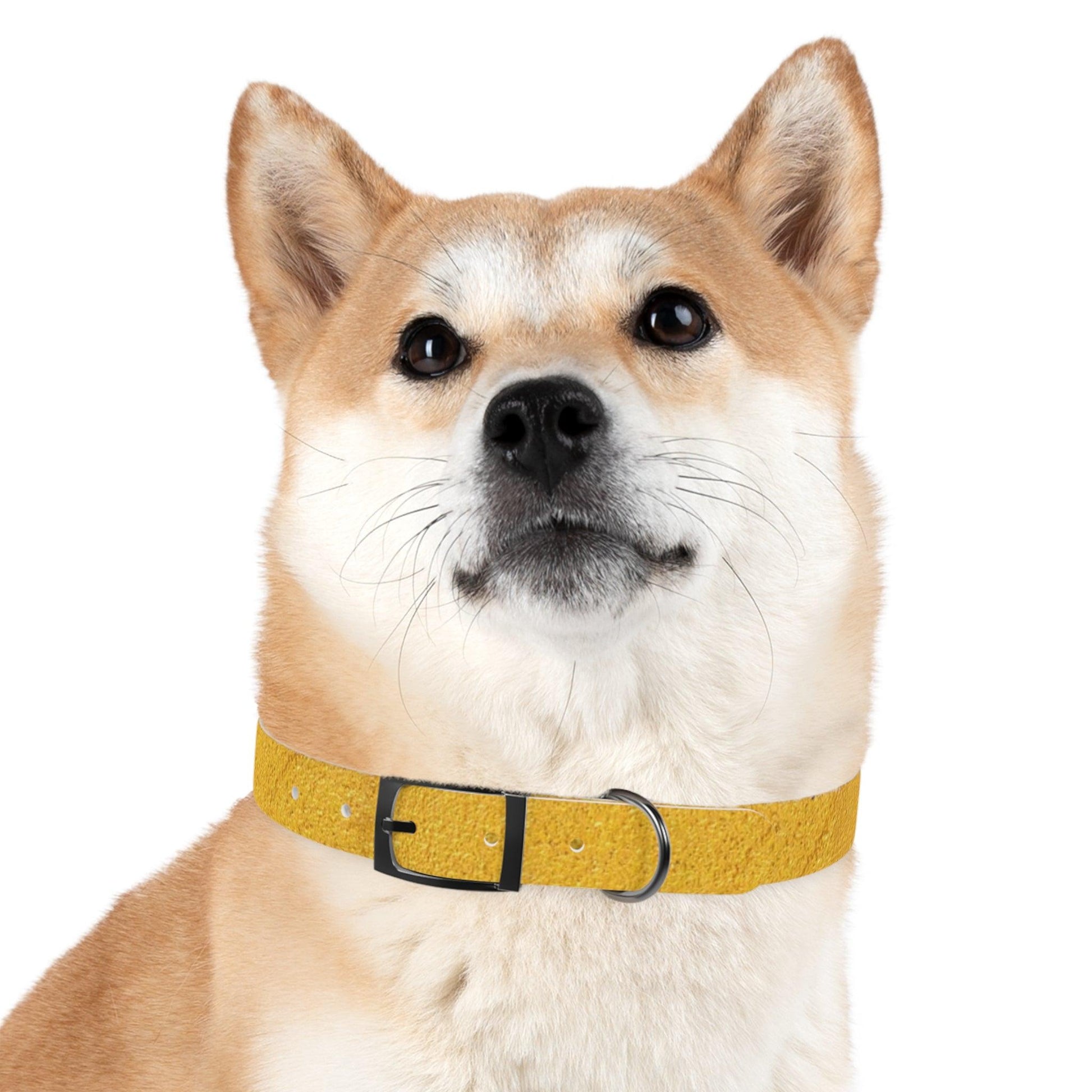 Faux Gold Dog Collar 4 Sizes S-XL - Lizard Vigilante