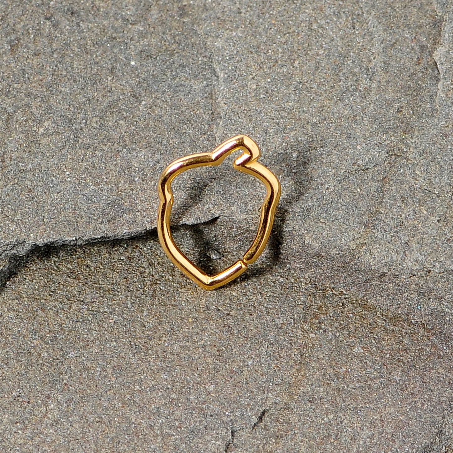 16G 3/8 Gold Tone Autumn Acorn Closure Ring