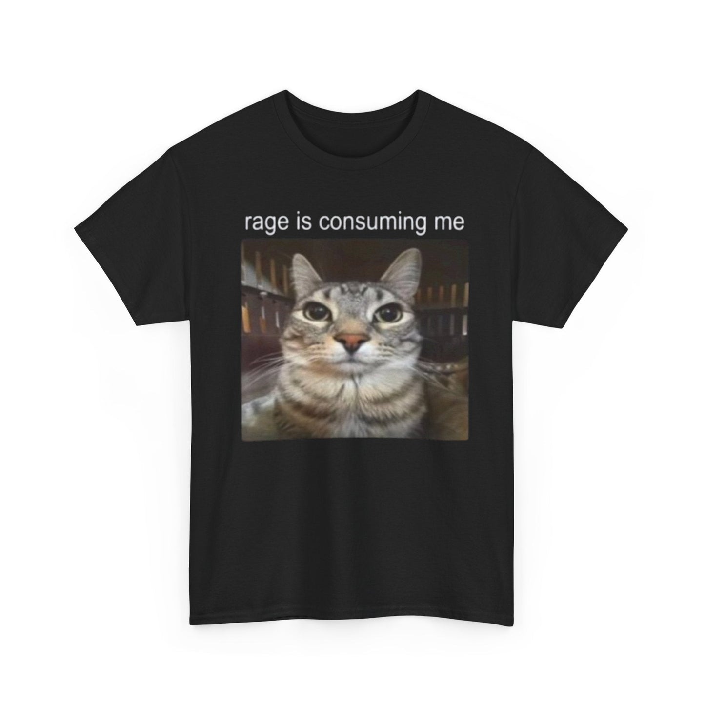 Rage Is Consuming Me Funny Cat Meme Shirt – Hilarious Angry Cat Graphic Tee for Men & Women