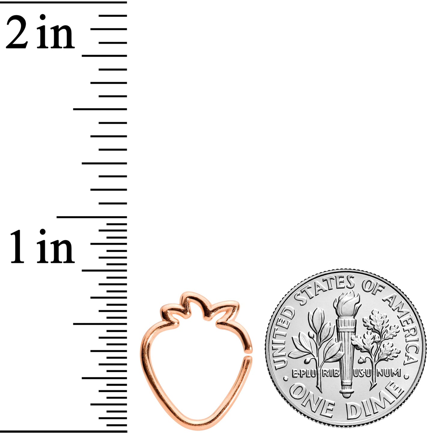 16G 5/16 Rose Gold Tone Fruit Strawberry Closure Ring