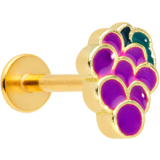 16G 5/16 Gold Tone Sweet Purple Grapes Labret Monroe Tragus