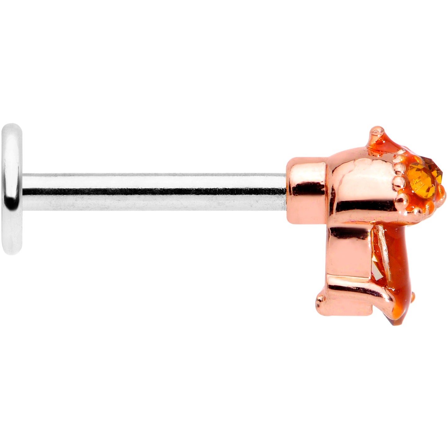 16G 5/16 Brown Gem Fall Autumn Acorn Labret Monroe Tragus