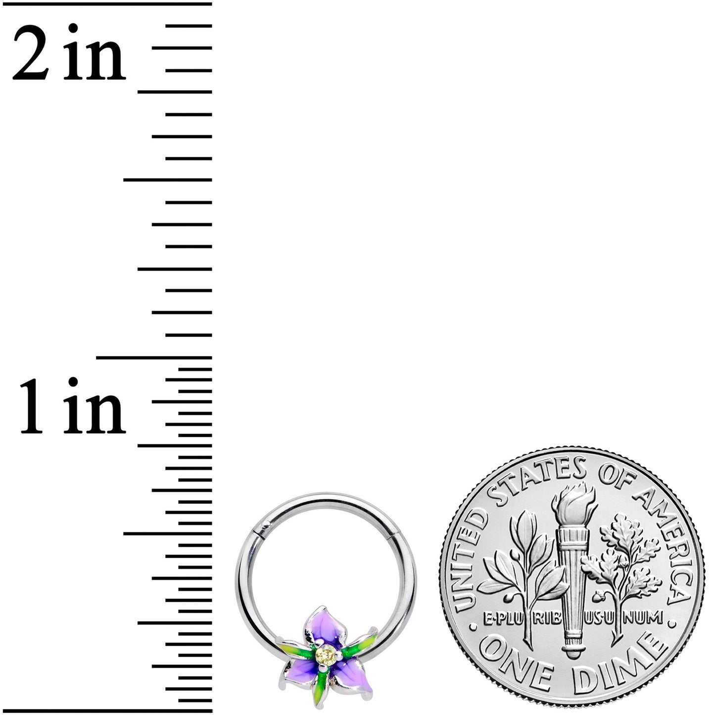 16G 3/8 Clear Gem Purple Iris Flower Hinged Segment Ring