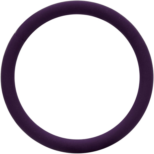 18G 3/8 Dark Purple Matte Cartilage Hinged Segment Ring