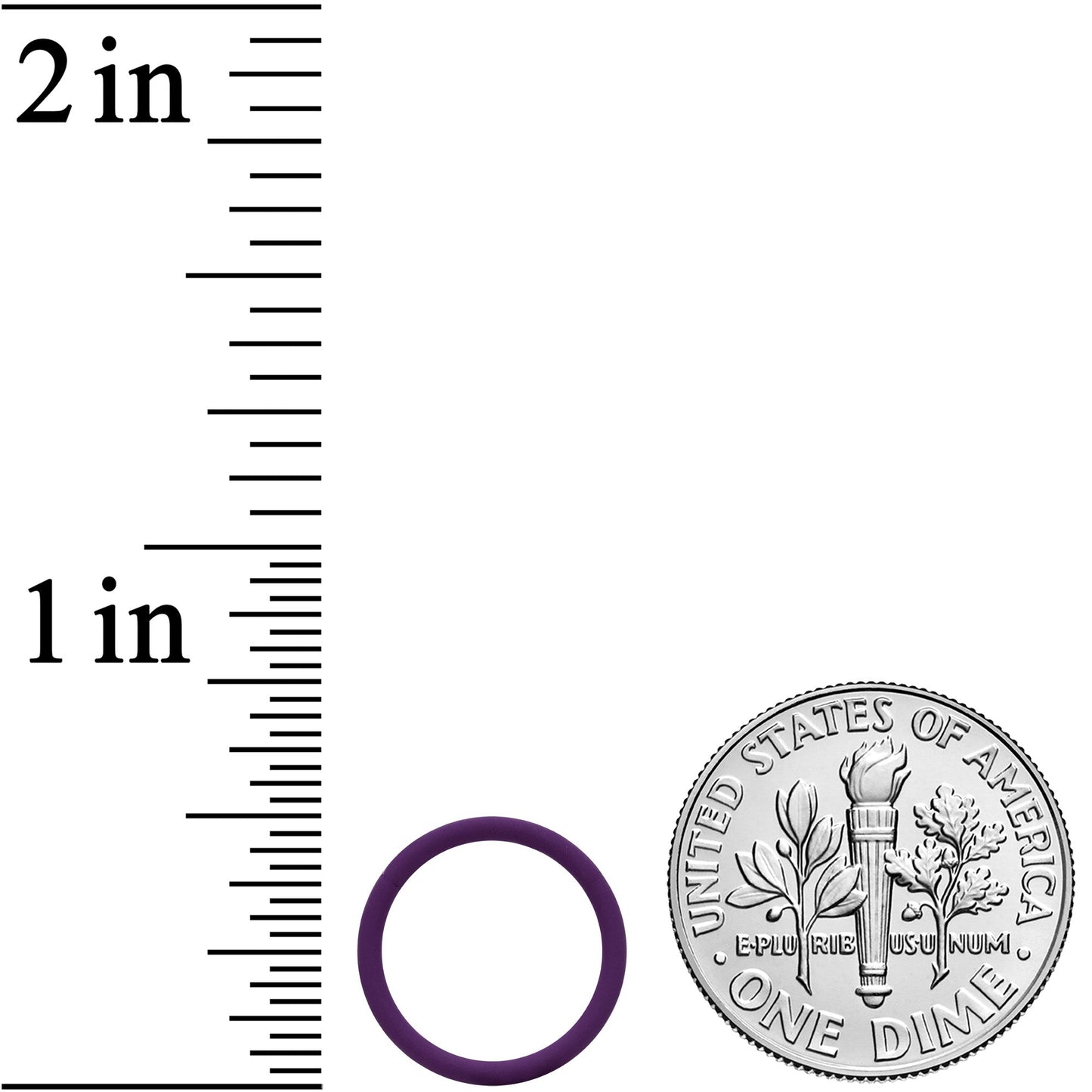 18G 3/8 Purple Matte Cartilage Hinged Segment Ring