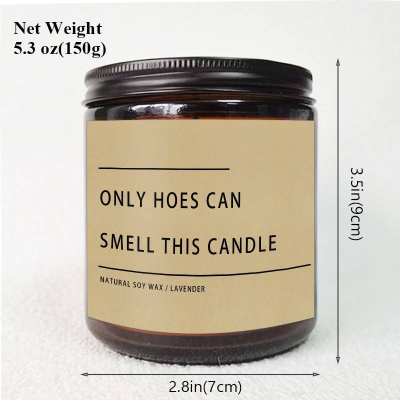 Funny Only Hoes Can Smell This Candle Perfect Funny Novelty Gag Gifts Scented Candle, Perfect Scented for Home, Lavender Scented Candle Ideal for Home Aromatherapy & Meditation, Perfect Gift for Men Him Friends Guys Classmate