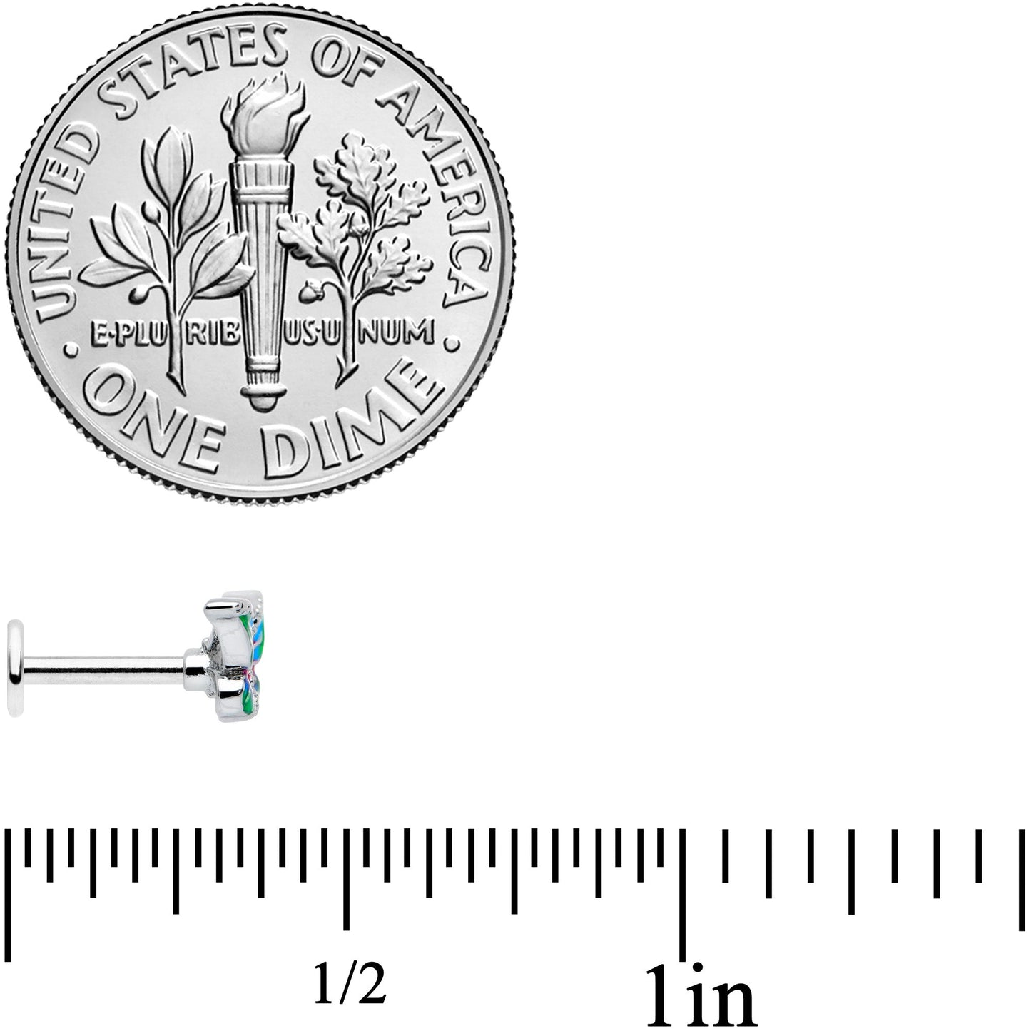 16G 1/4 Bright Beauty Textured Butterfly Labret Monroe Tragus