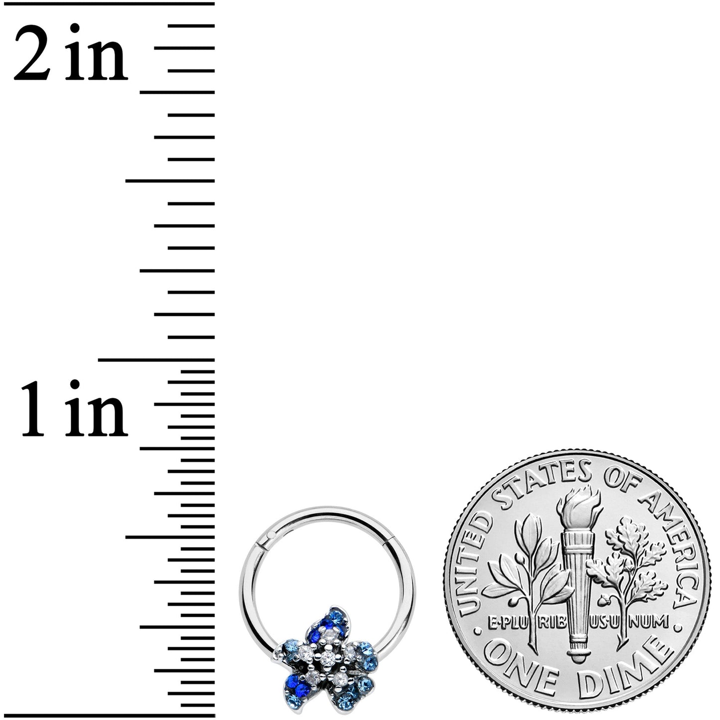 16G 3/8 Clear Blue Gem Evening Flower Hinged Segment Ring