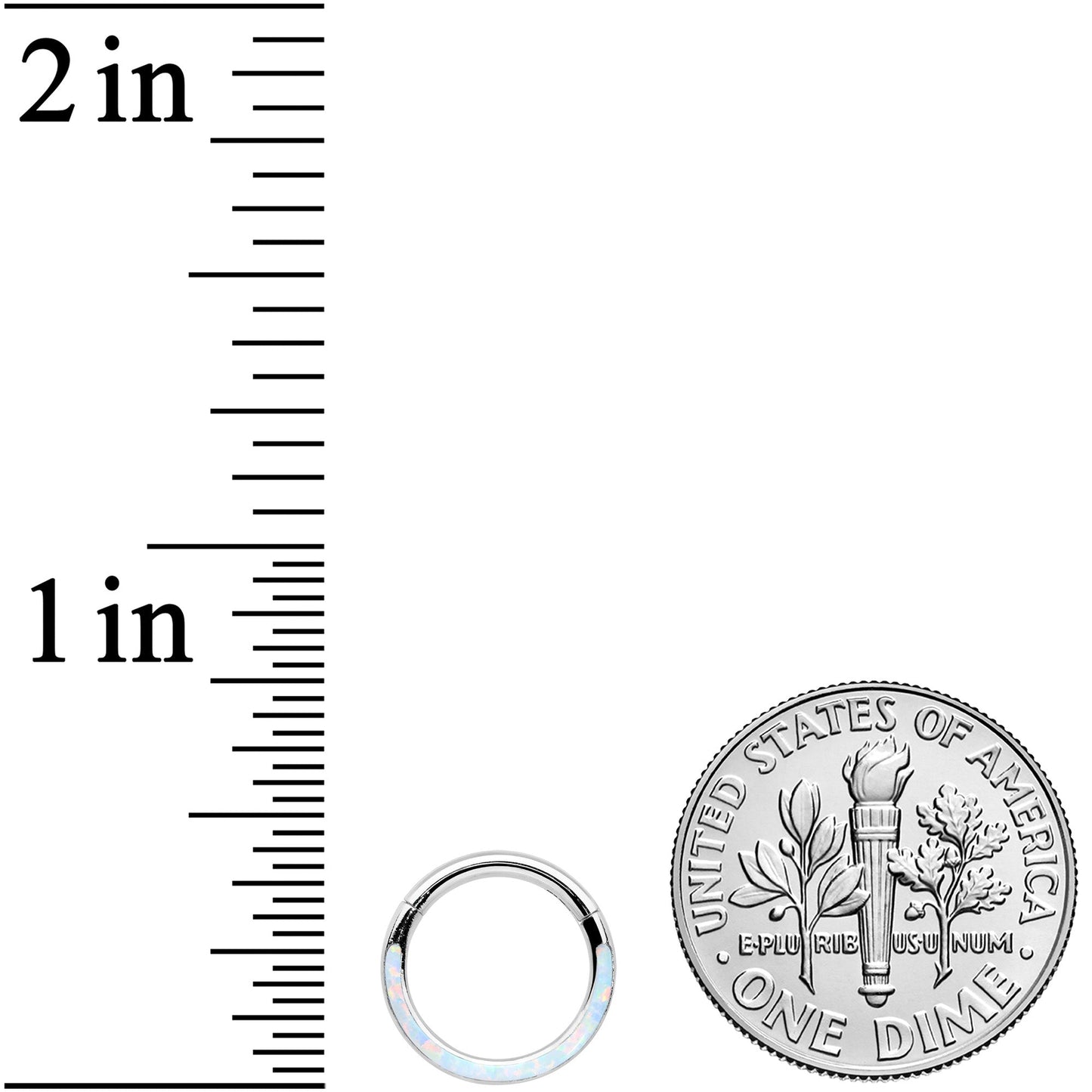 16G 5/16 White Synthetic Opal Bottom Curve Hinged Segment Ring