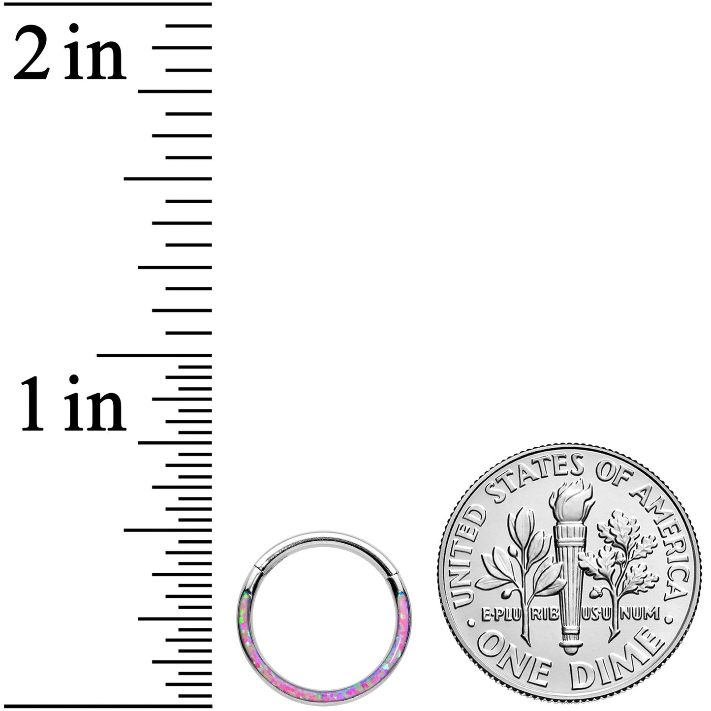 16G 3/8 Purple Synthetic Opal Wider Curve Hinged Segment Ring