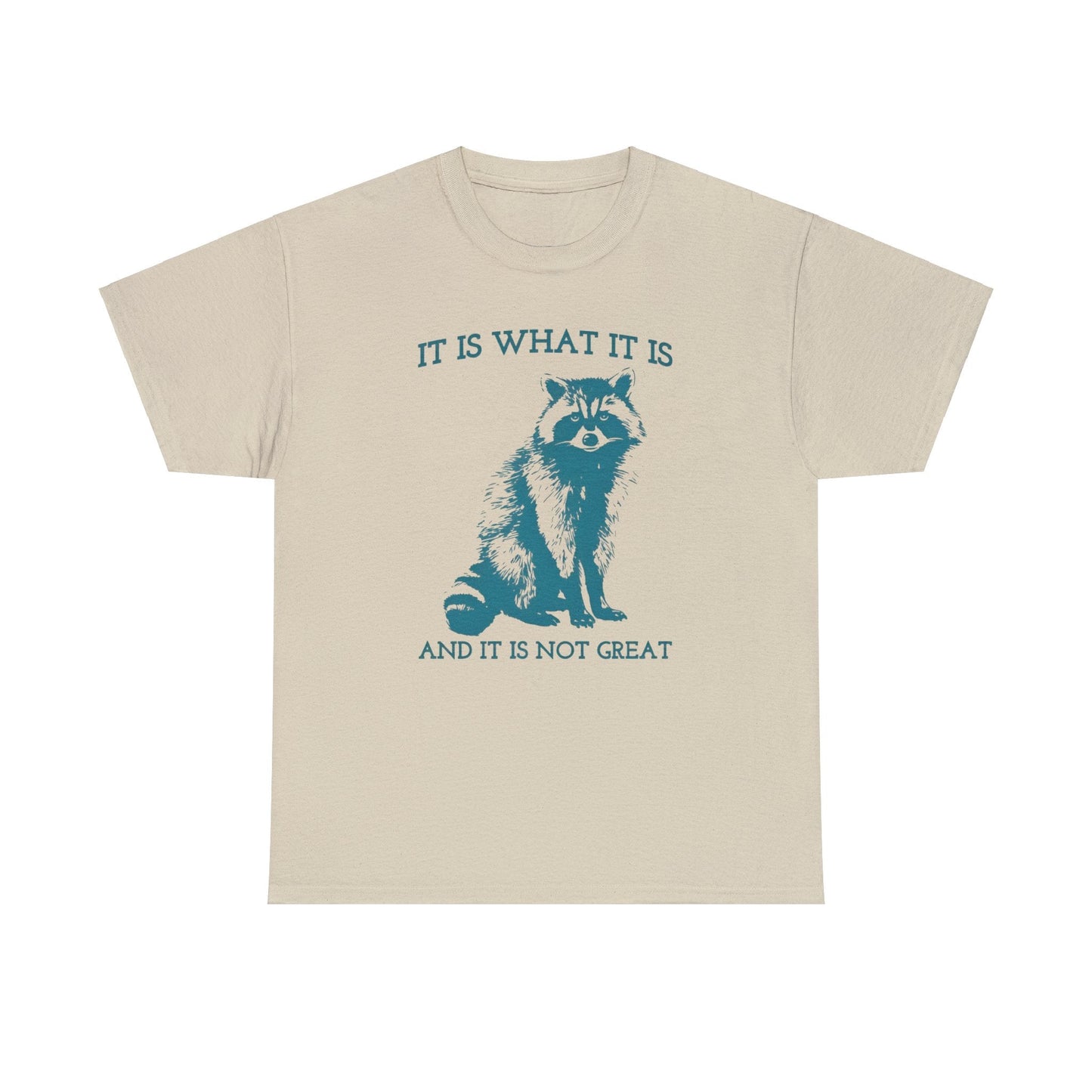 It Is What It Is And It Is Not Great Raccoon Meme Shirt – Vintage Funny Sarcastic Tee