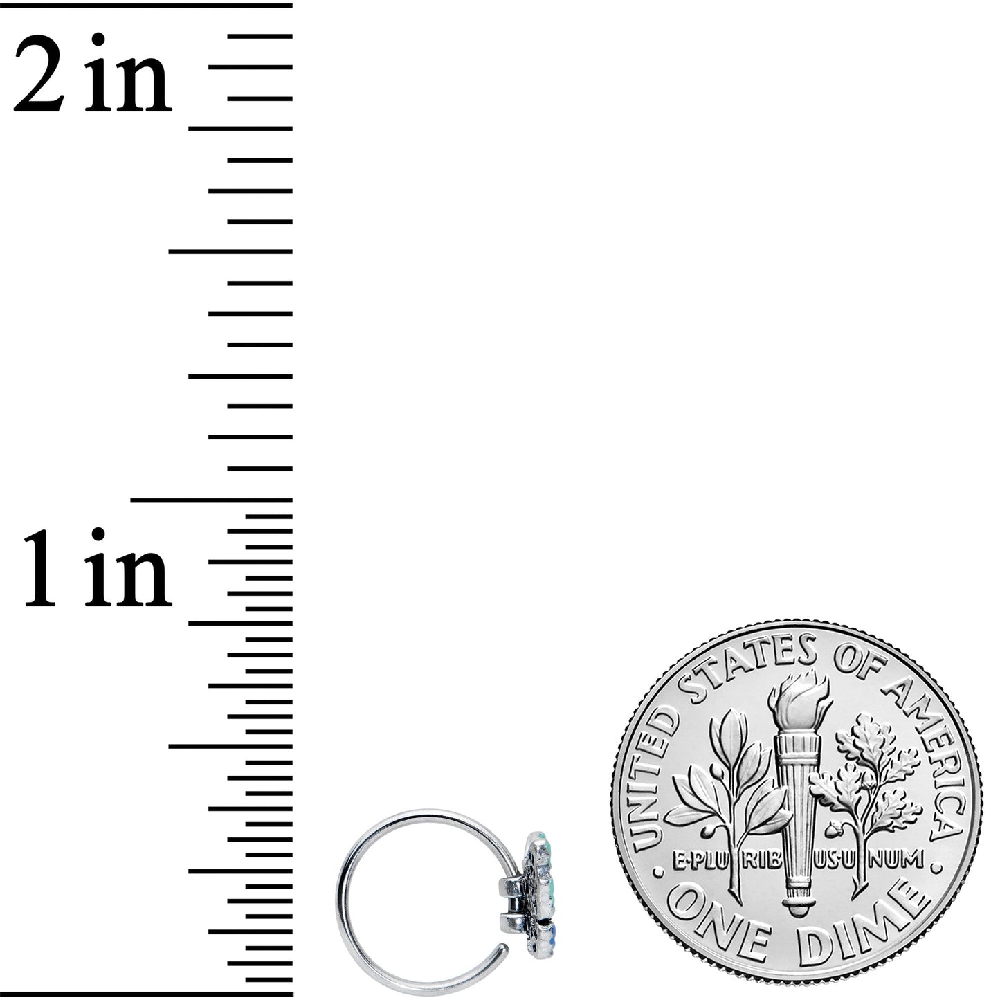 20G 5/16 Aurora Gem Colorful Glam Butterfly Nose Hoop