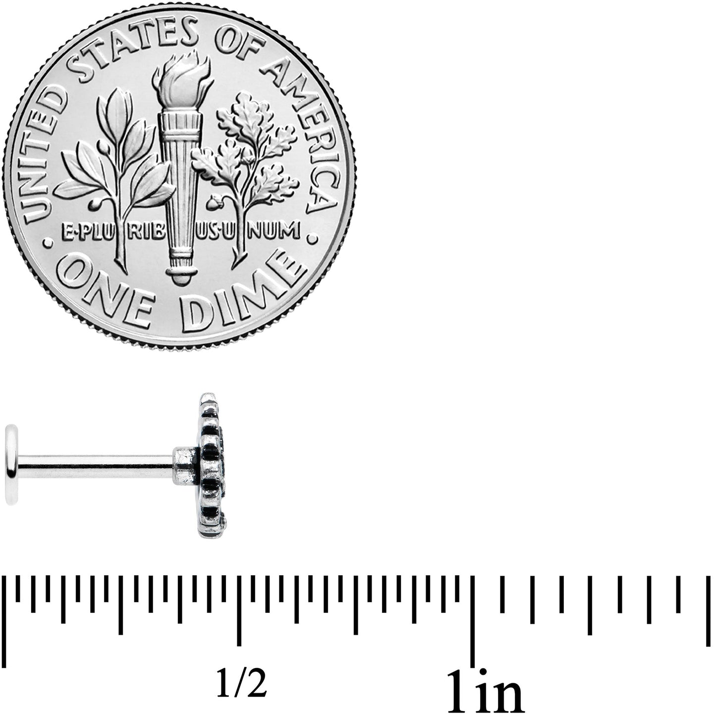 16G 5/16 Stylized Pink Green Abstract Leaf Labret Monroe Tragus