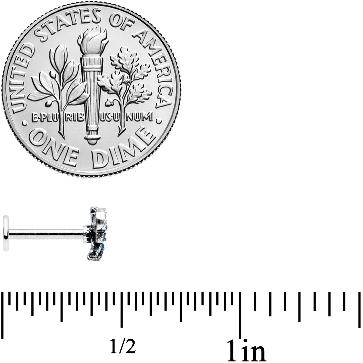 16G 5/16 Textured Blue Butterfly Labret Monroe Tragus