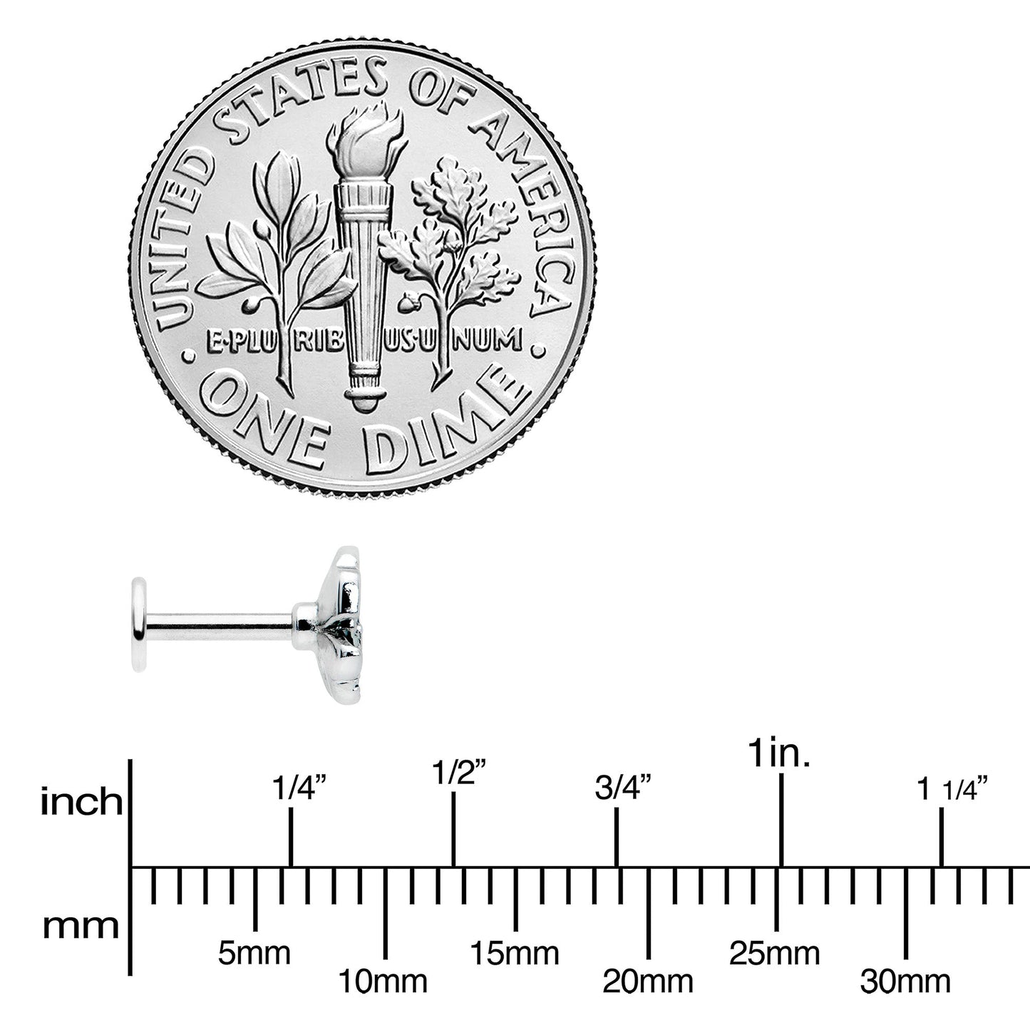 16G 1/4 Spring Flower Green Blue Labret Monroe Tragus