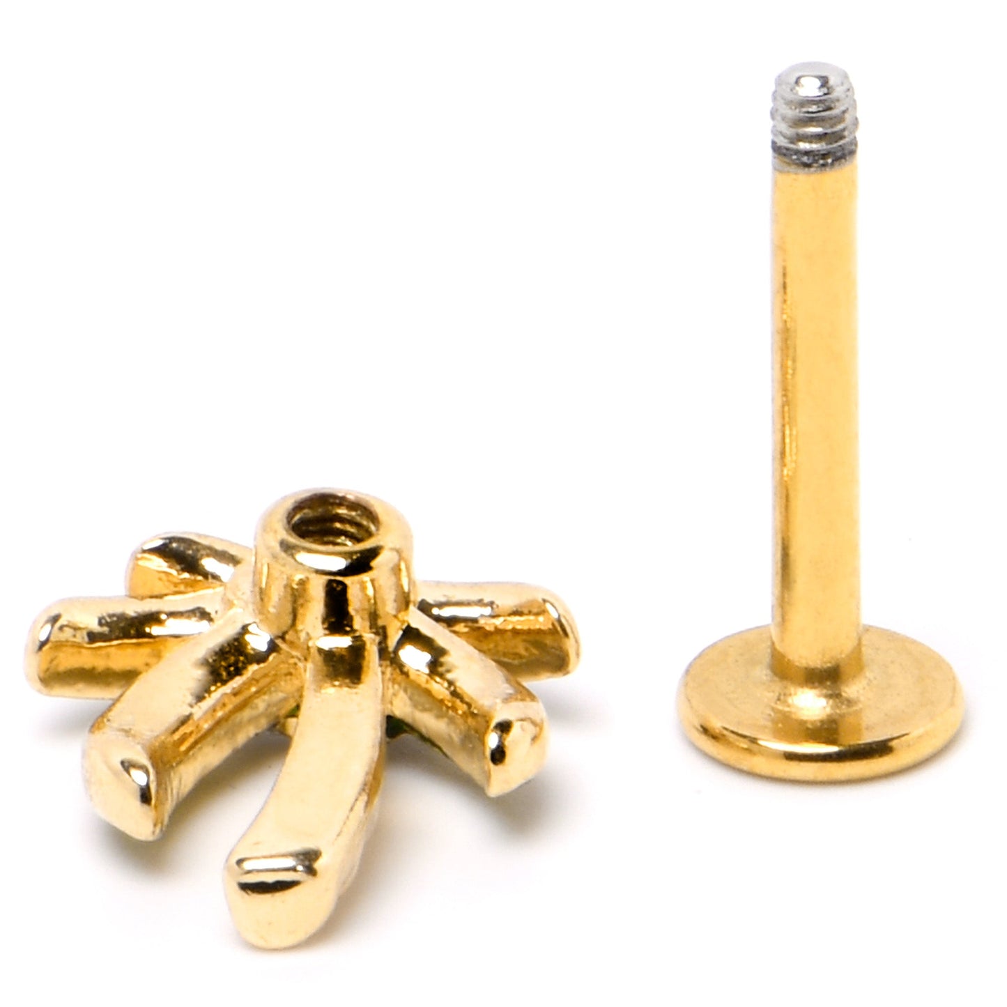 16G 5/16 Clear Gem Gold Tone Palm Tree Style Labret Monroe Tragus