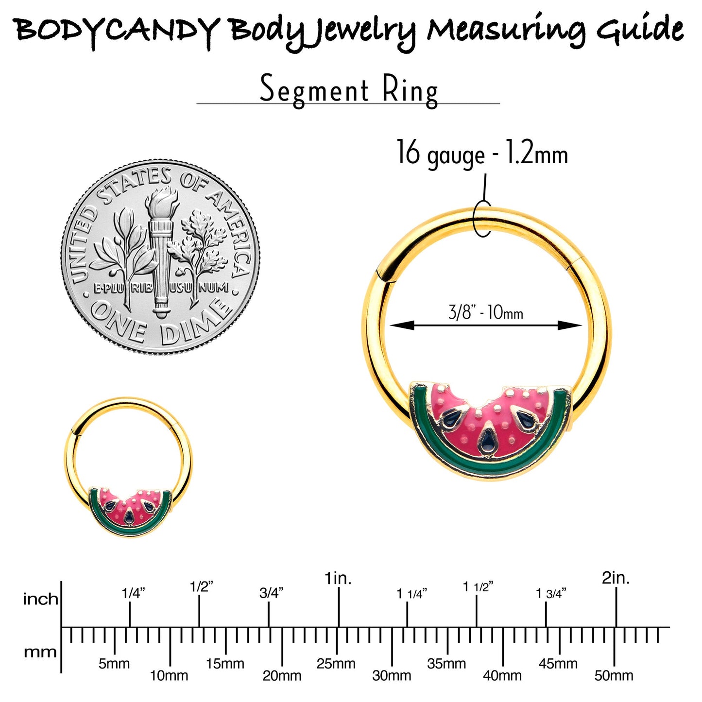 16G 3/8 Gold Tone Watermelon Bite Hinged Segment Ring