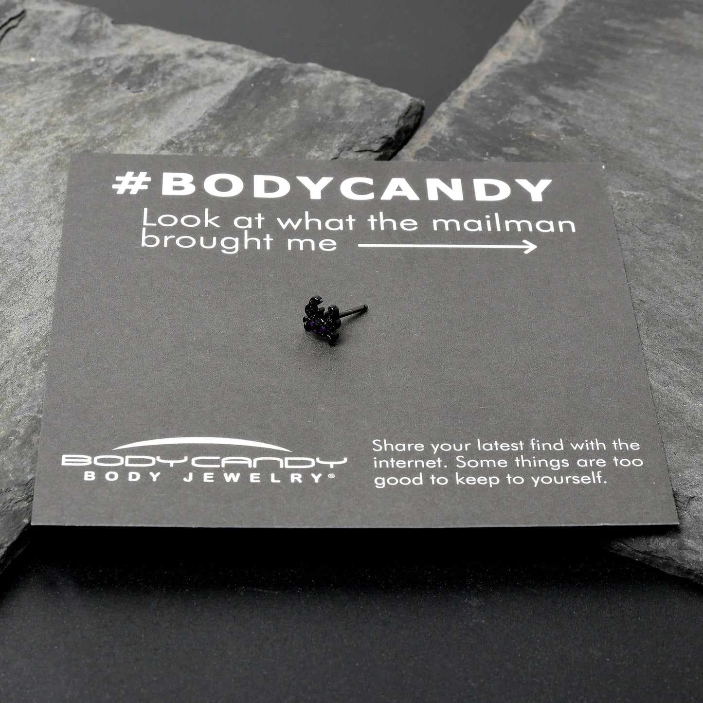 20G 1/4 Purple Gem Black Chic Crab Nose Bone