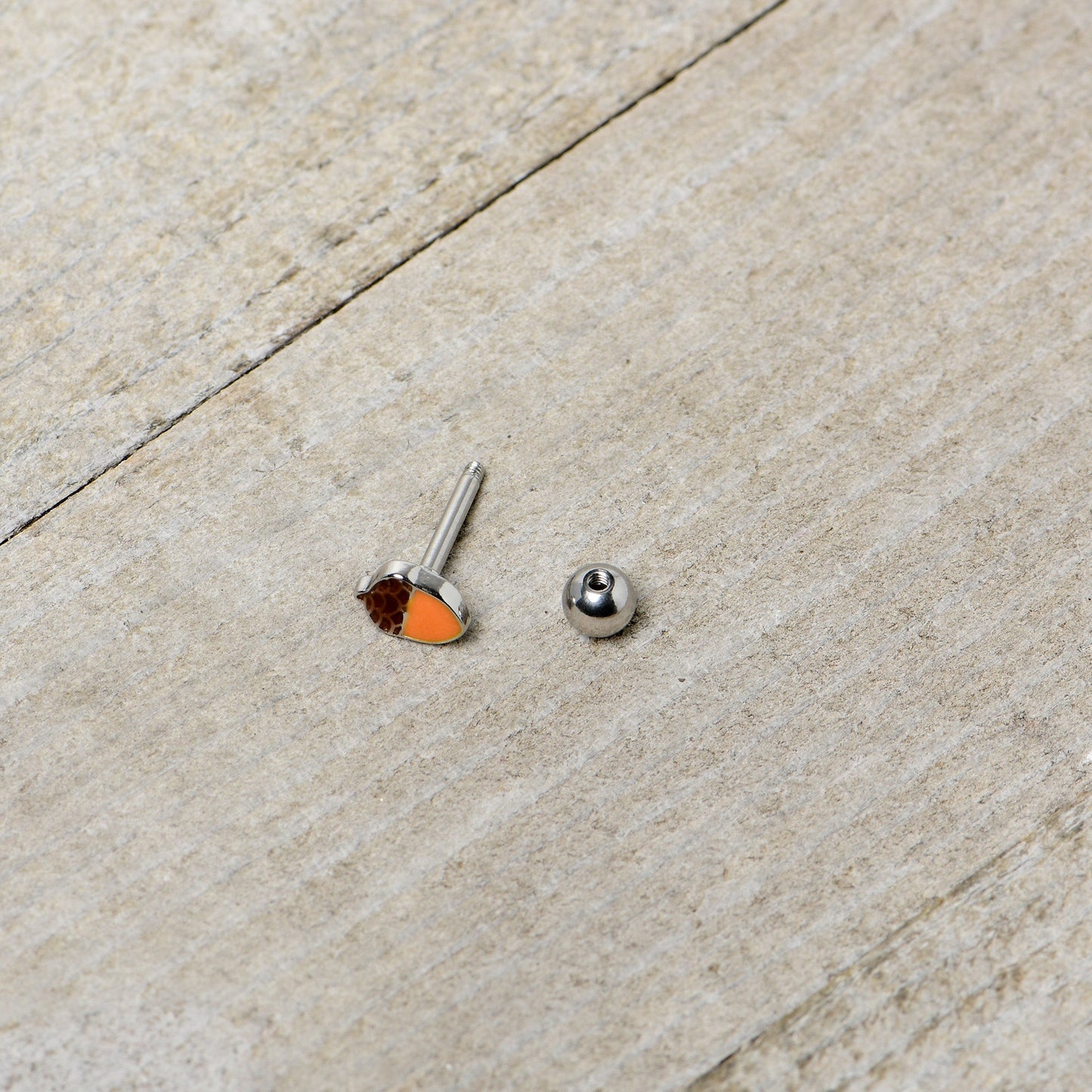 16G 5/16 Autumn Acorn Brown Orange Cartilage Tragus Earring