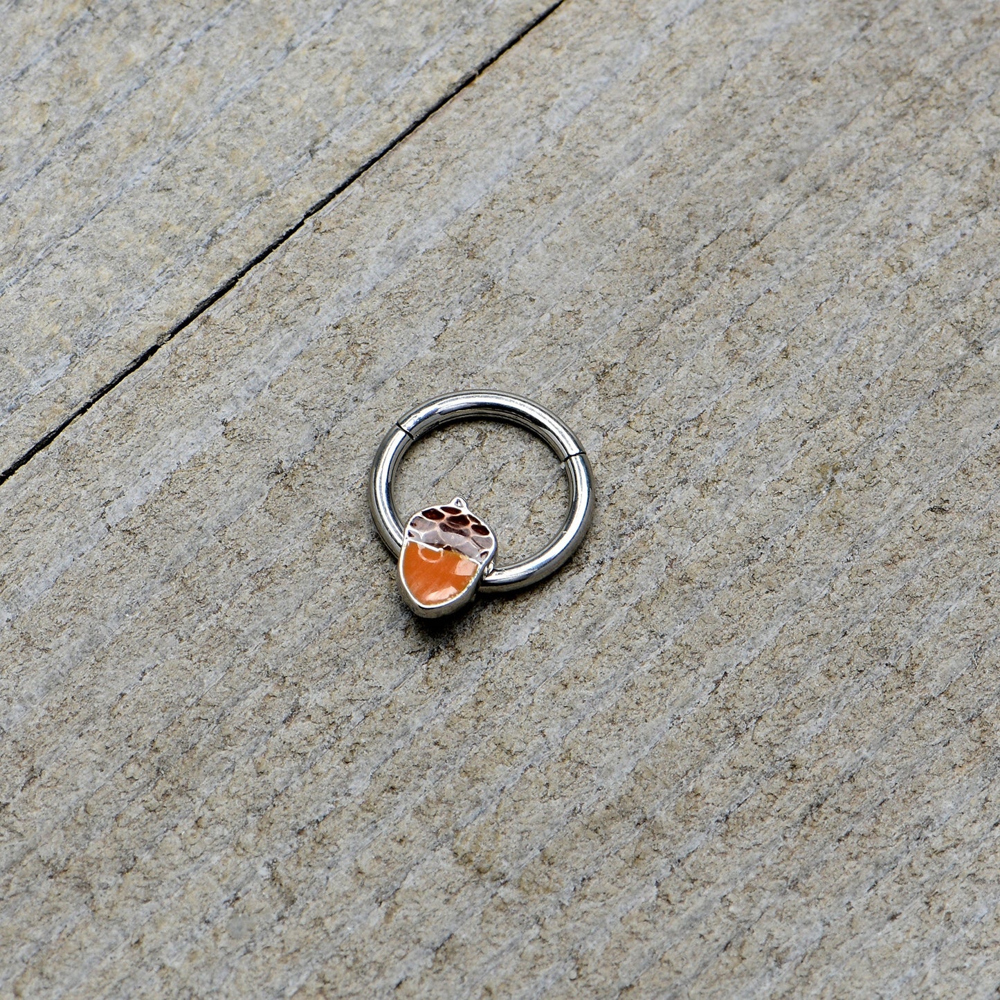 16G 3/8 Autumn Acorn Orange Brown Hinged Segment Ring