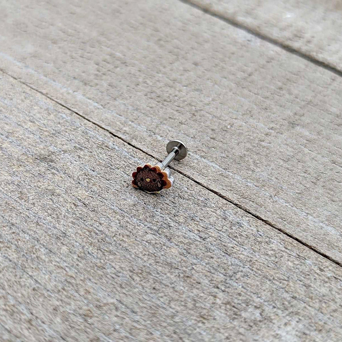 16G 5/16 Sweet Tiny Turkey Thanksgiving Labret Monroe Tragus