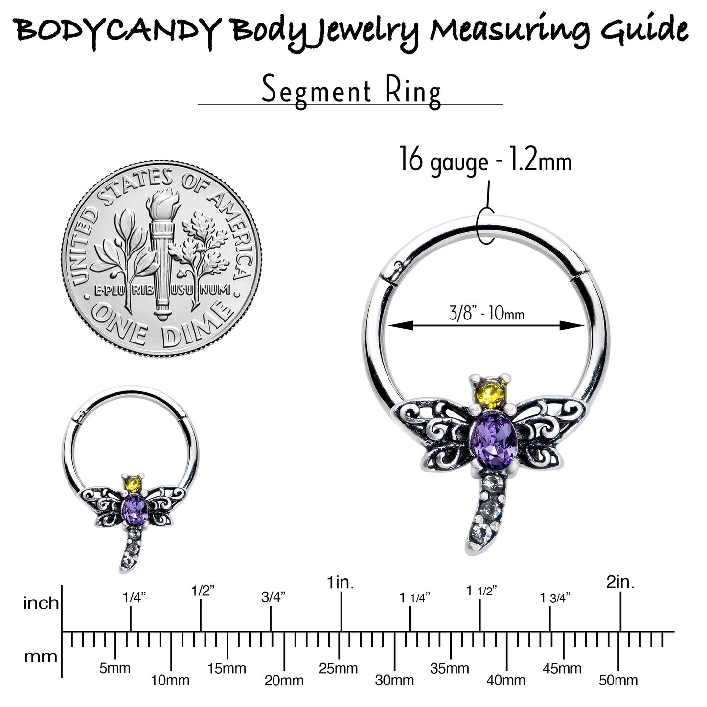 16G 3/8 Purple Yellow Gem Dragonfly Hinged Segment Ring
