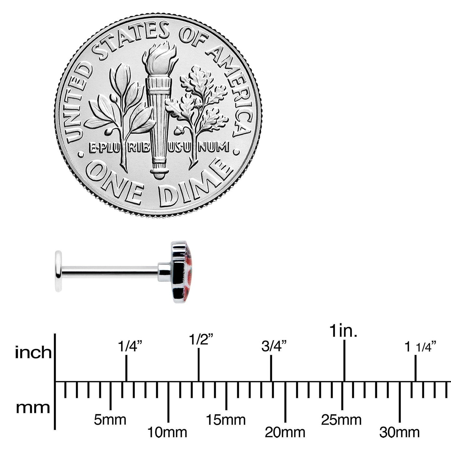 16G 5/16 Sweet Pumpkin Latte Autumn Labret Monroe Tragus