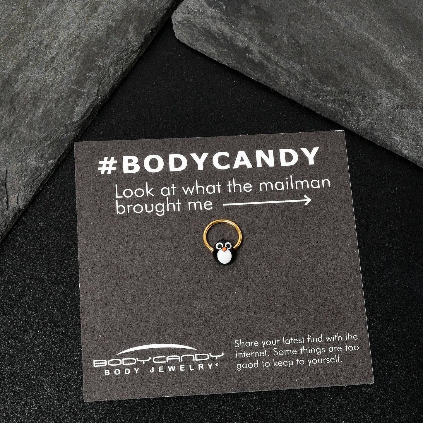 16G 3/8 Gold Tone Round Penguin Face Holiday Hinged Segment Ring