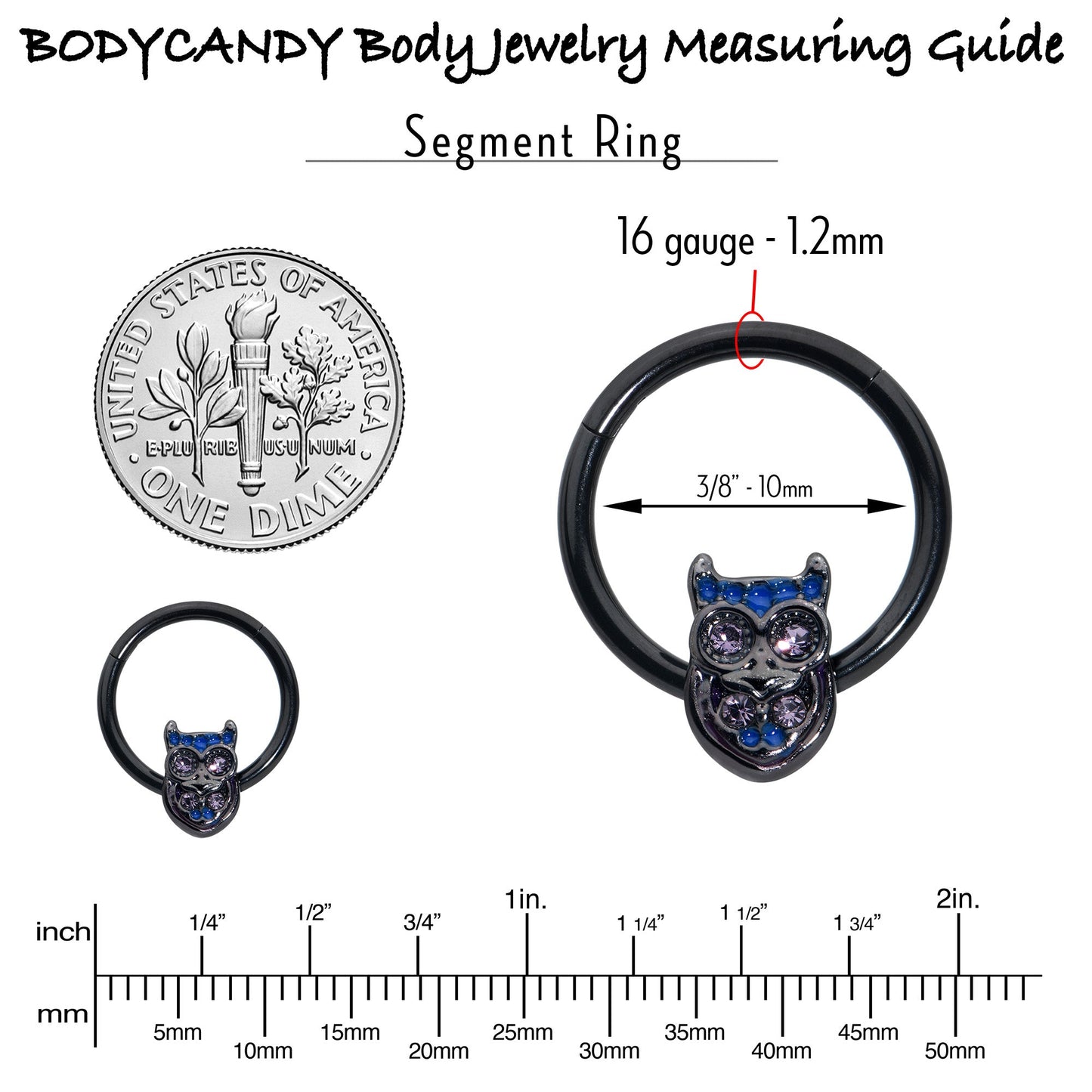 16G 3/8 Purple Gem Black Opulent Owl Hinged Segment Ring