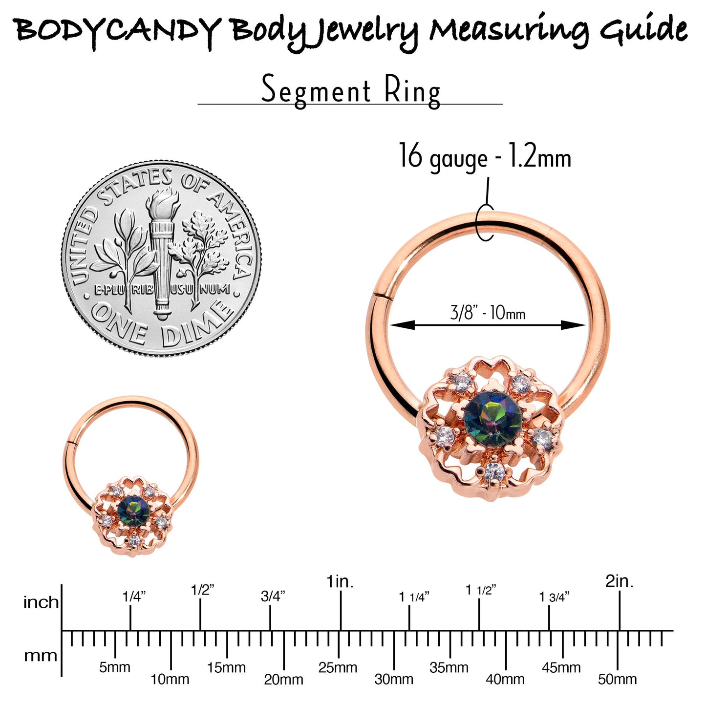 16G 3/8 Vitrail Gem Rose Gold Hue Flower Hinged Segment Ring