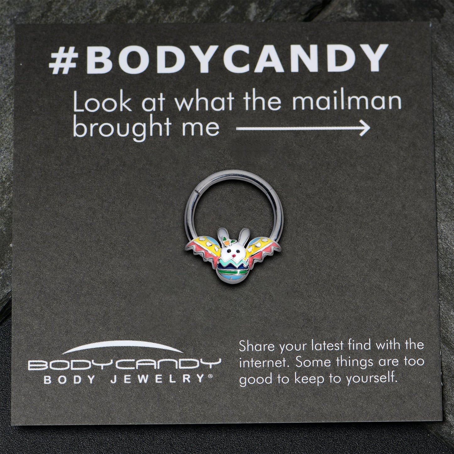 16G 3/8 Easter Egg Bunny Hinged Segment Ring