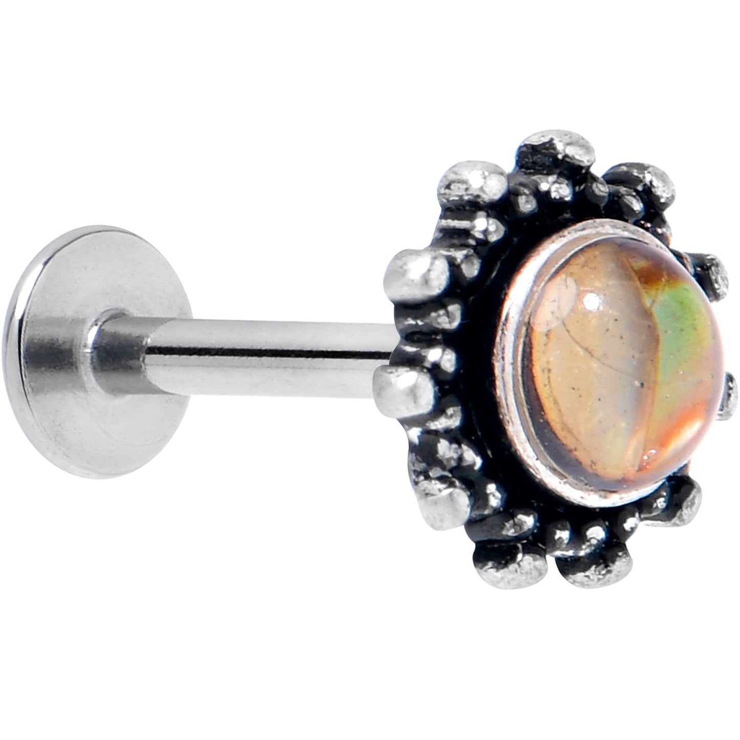 16G 5/16 Brown Faux Shell Circle of Glam Labret Monroe Tragus