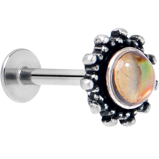 16G 5/16 Brown Faux Shell Circle of Glam Labret Monroe Tragus