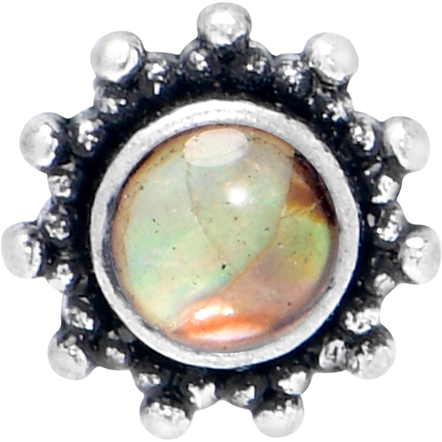 16G 5/16 Brown Faux Shell Circle of Glam Labret Monroe Tragus