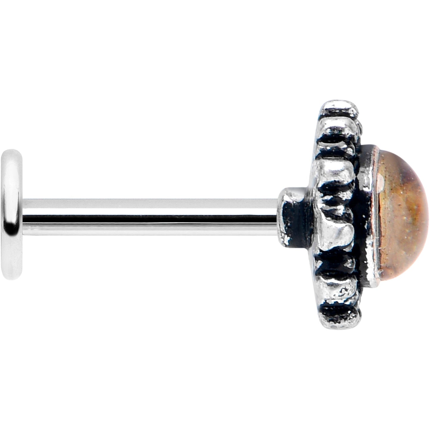 16G 5/16 Brown Faux Shell Circle of Glam Labret Monroe Tragus