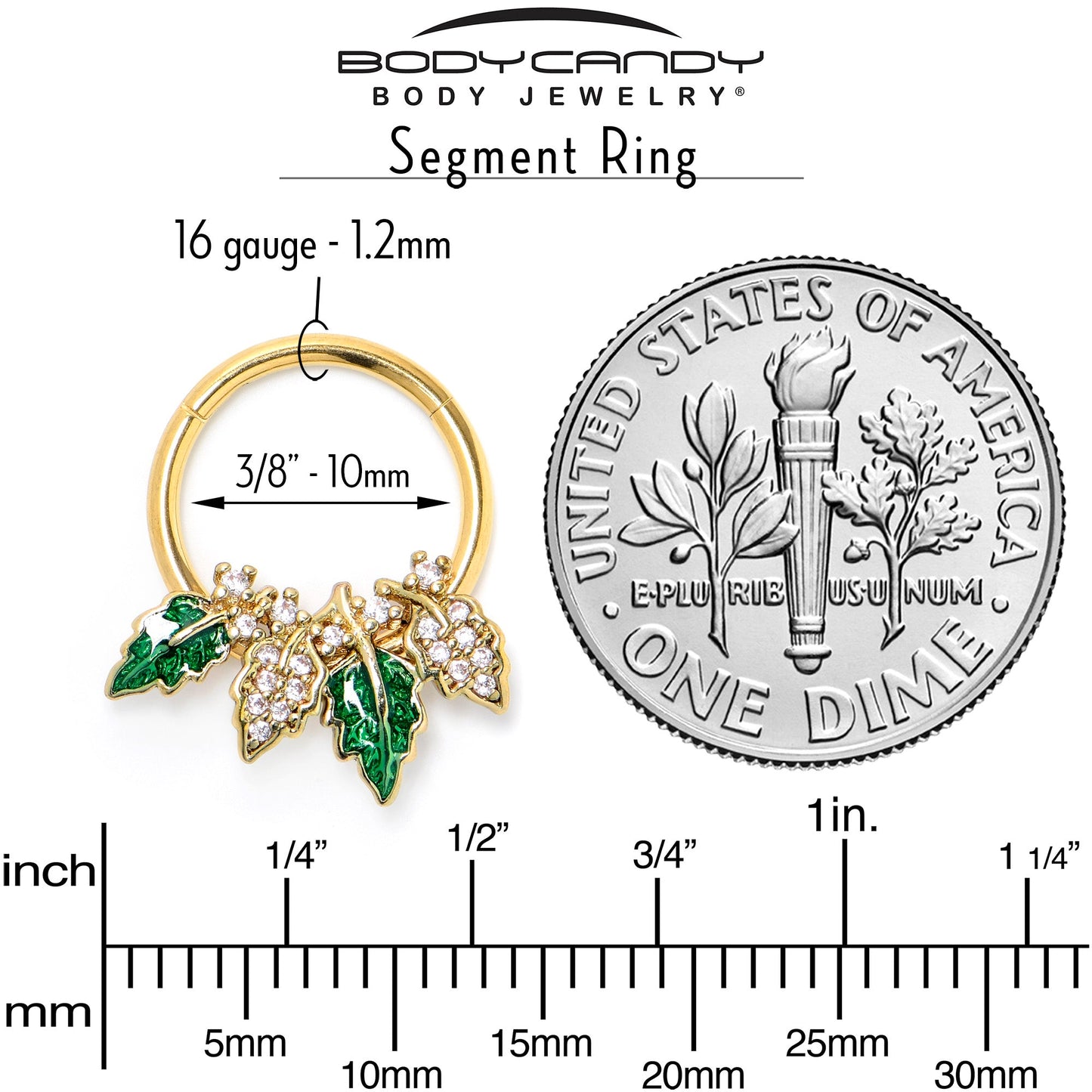 16G 3/8 Clear CZ Gem Gold Tone Leafy Beauty Hinged Segment Ring