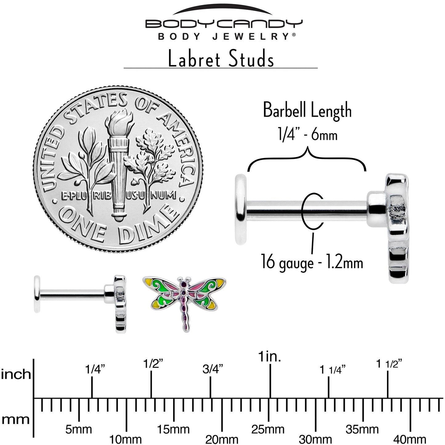 16G Dragonfly Colors Flat Back Earring