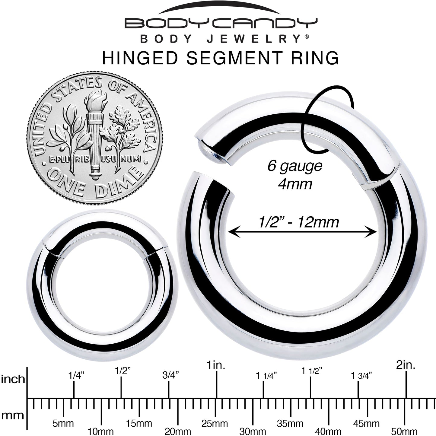 6G 1/2 316L Surgical Steel Precision Hinged Segment Hoop
