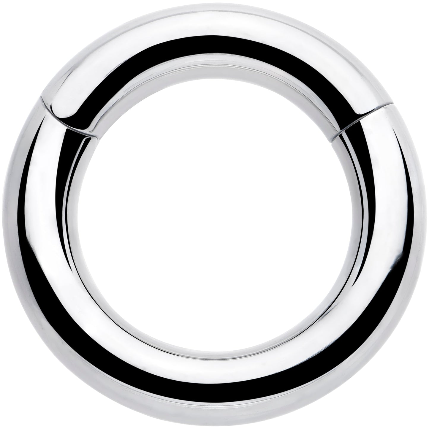 6G 9/16 316L Surgical Steel Precision Hinged Segment Hoop