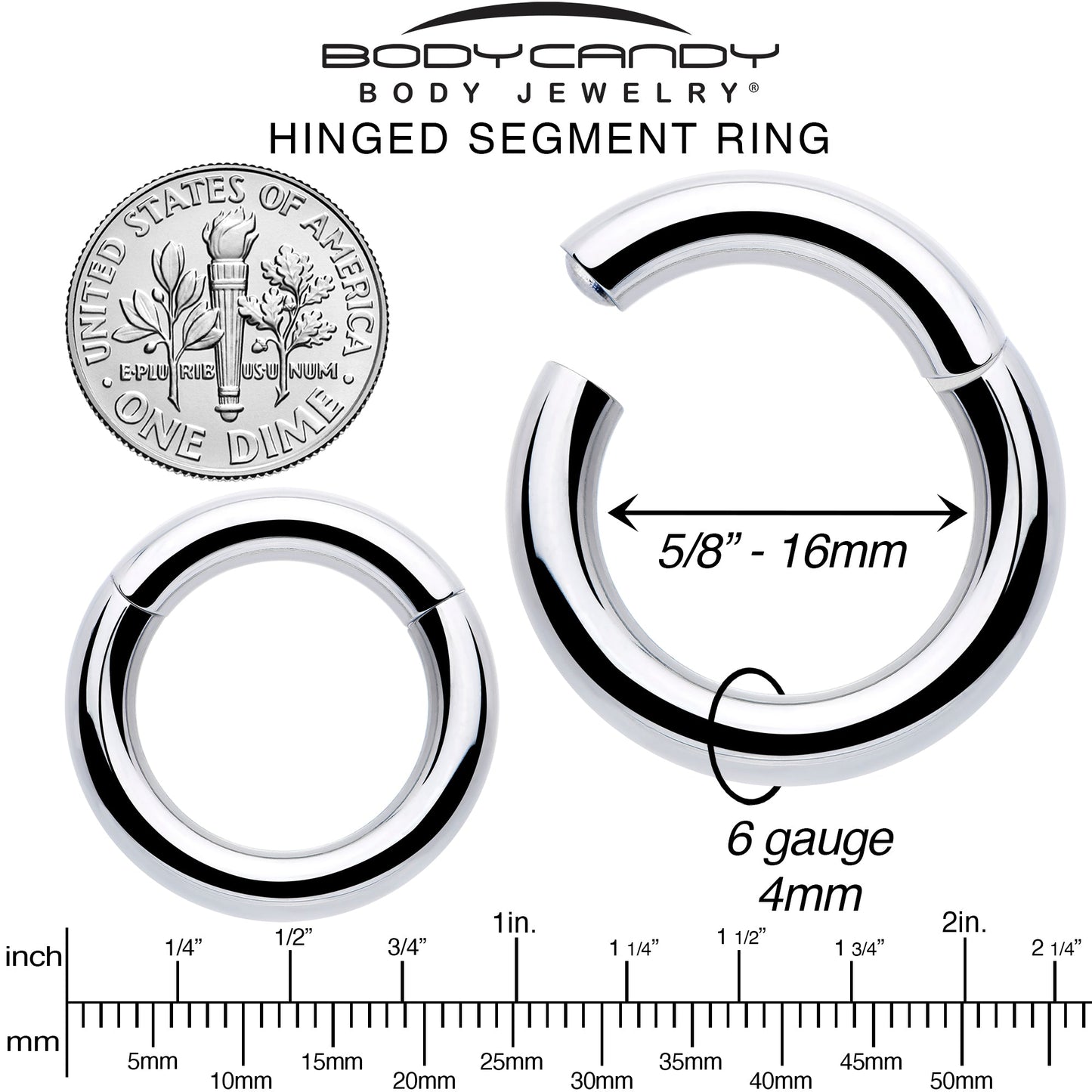 6G 5/8 316L Surgical Steel Precision Hinged Segment Hoop