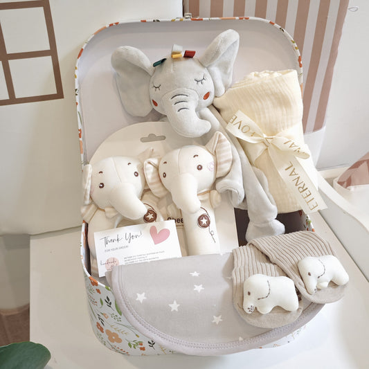5pcs Youngsters Shower Gift Set - Unique Youngsters Essentials with Cotton Blanket, Elephant Lovey, Socks, and More, Soft & Cozy, Perfect for Boys & Girls, Ideal for Youngsters Shower / Youngsters Collection, for Youngsters