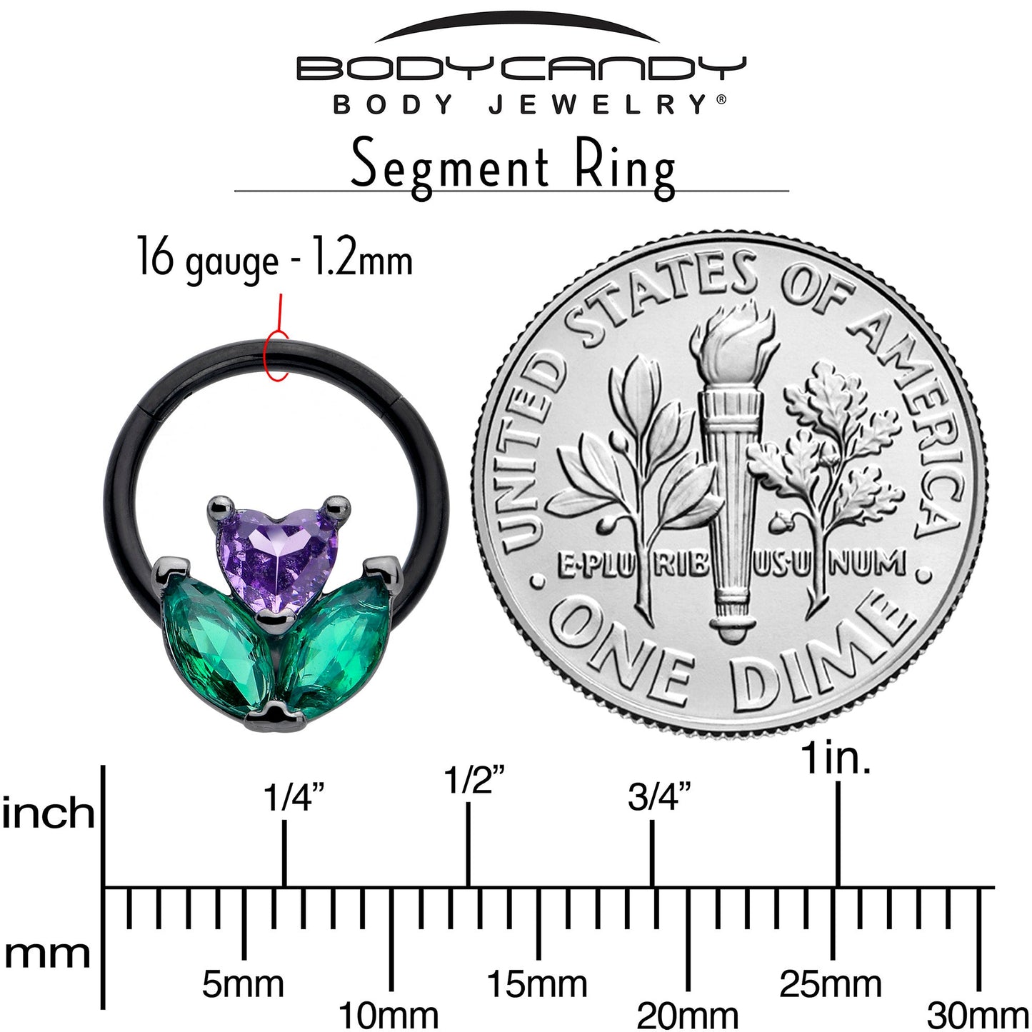 16G 3/8 Purple Green CZ Gem Black Love Flower Hinged Segment Ring