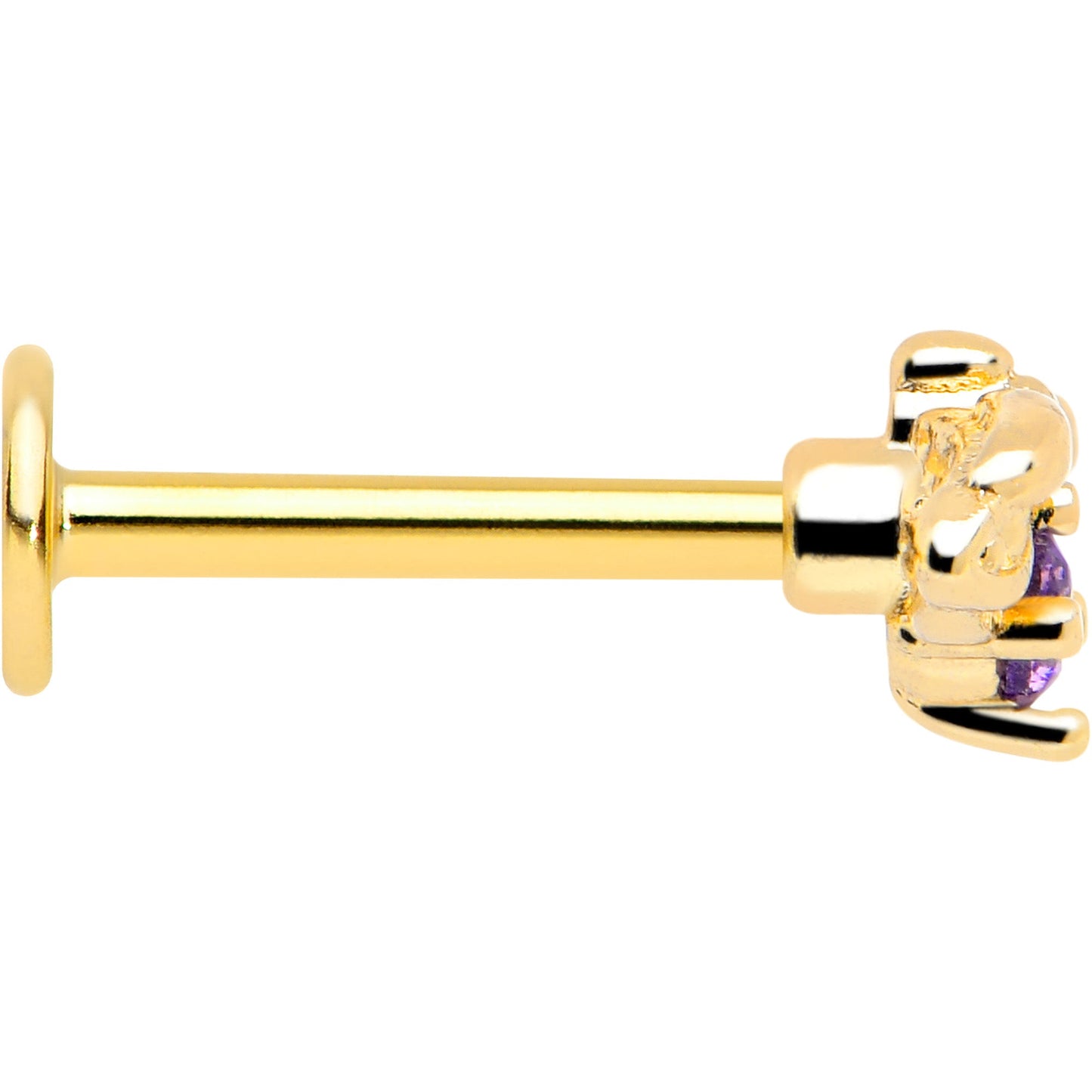 16G 5/16 Purple Gem Gold Tone Beauty Bug Labret Monroe Tragus