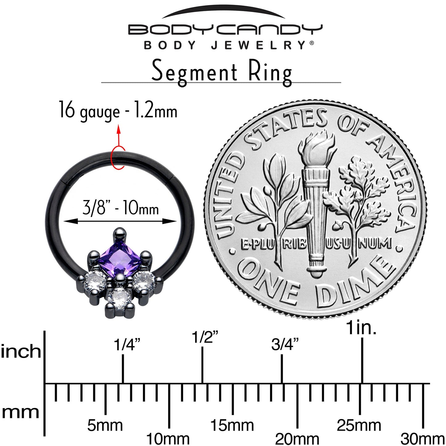16G 3/8 Purple CZ Gem Black Rhombus Riot Hinged Segment Ring
